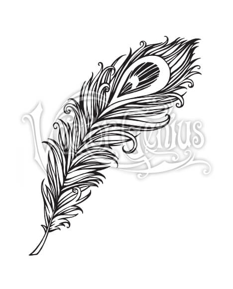 Decorative Peacock Feather ClipArt.