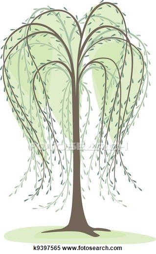 Willow tree Illustrations and Clipart. 225 willow tree.