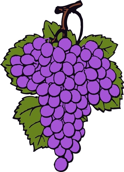 Grape Cluster clip art Free vector in Open office drawing svg.