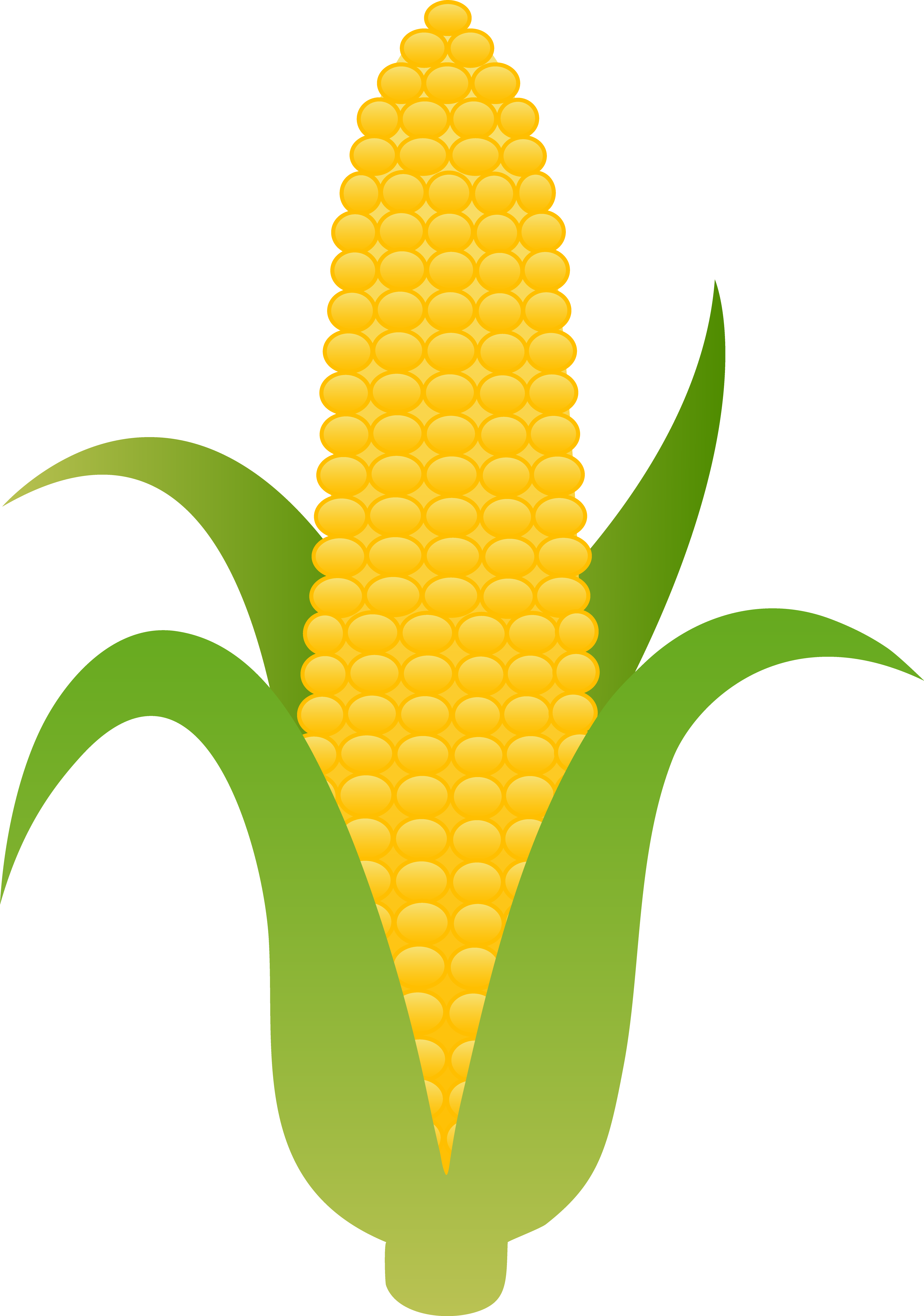 Cob Clipart.