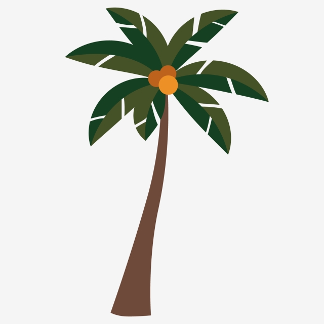 Download Free png Pretty Coconut Tree Shadow, Coconut Clipart, Tree.