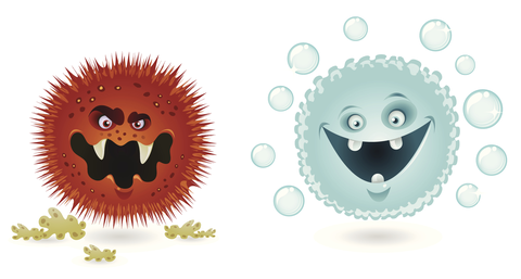 Understanding coliforms.