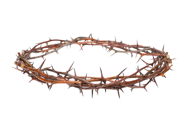 Crown Of Thorns Png (102+ images in Collection) Page 3.