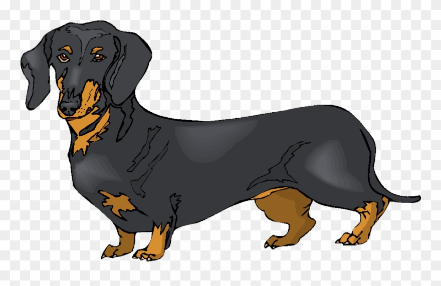 Black Clipart Dachshund.