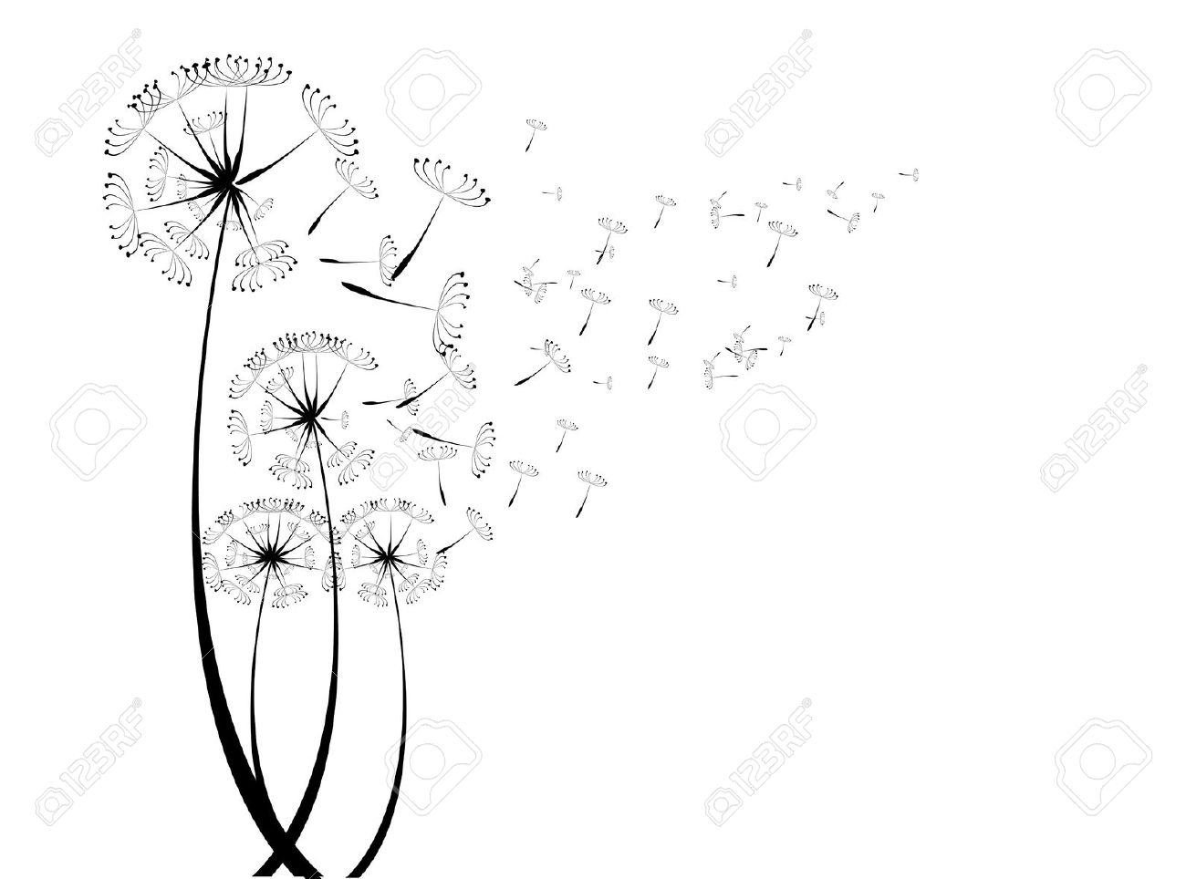 Clip Art Dandelion Fluff.