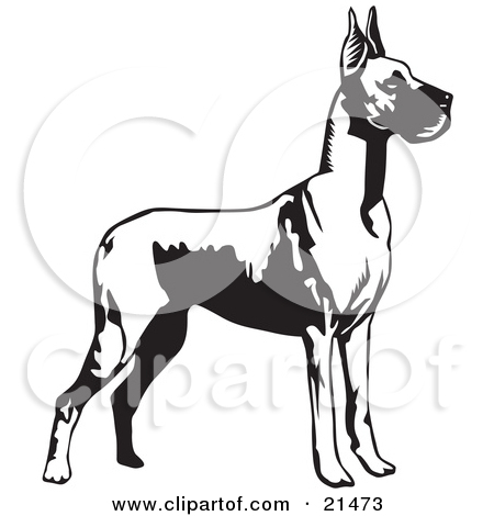 Clipart Illustration of a Great Dane Dog With Cropped Ears.