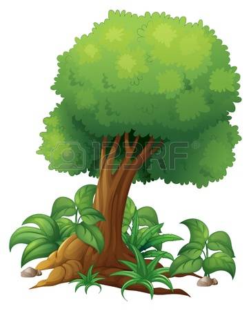 11,569 Shrub Stock Vector Illustration And Royalty Free Shrub Clipart.