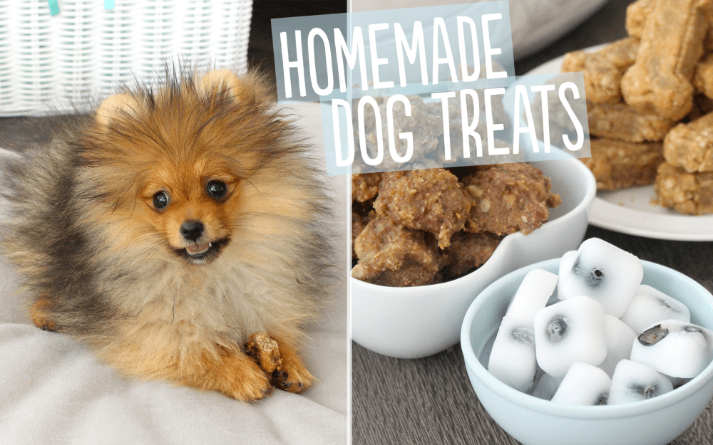 3 Homemade Dog Treat Recipes.