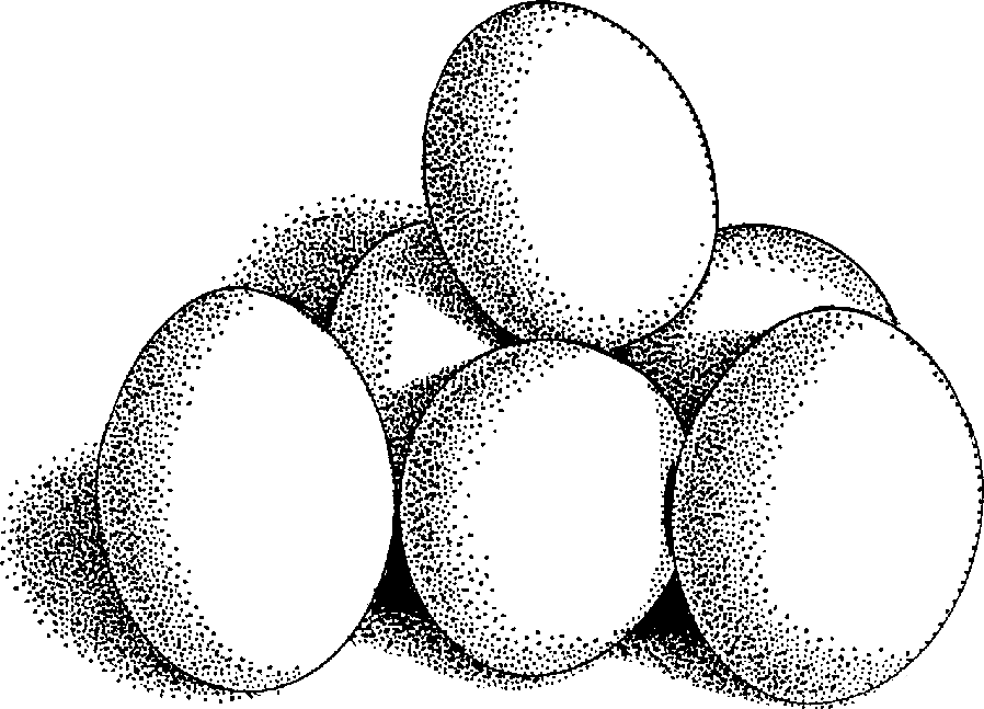 Eggs clip art cracked egg whites clipart kid.