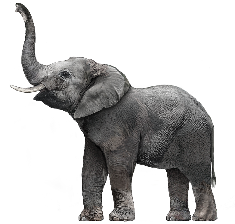 Download Free png Elephant PNG HD Outline Transparent Elephant HD.