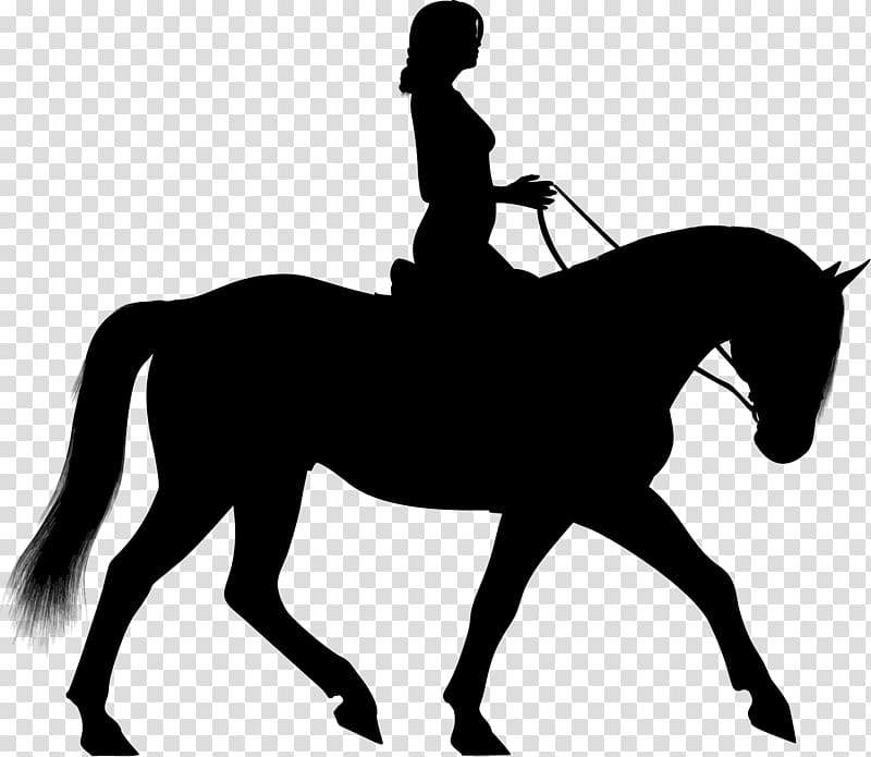 Horse Equestrian Silhouette , horse riding transparent background.