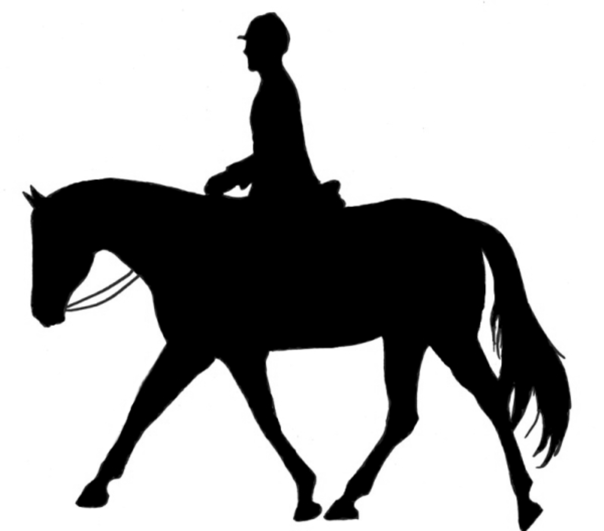 Jumper English Horse Clipart.