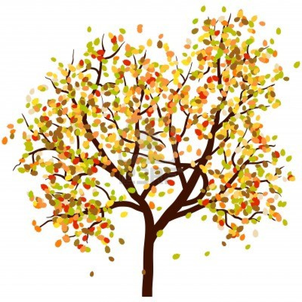 Fall tree with leaves clipart.