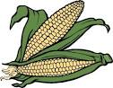 Farm crops clipart.