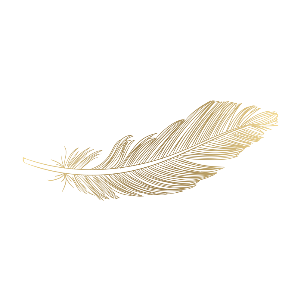 Feather PNG Download Image.