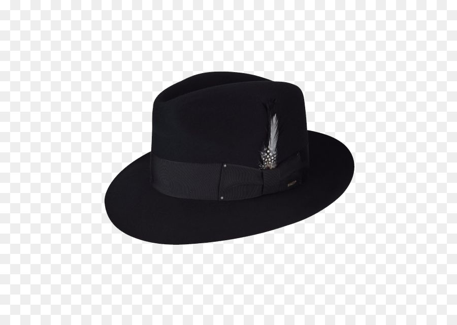 Cowboy Hat png download.