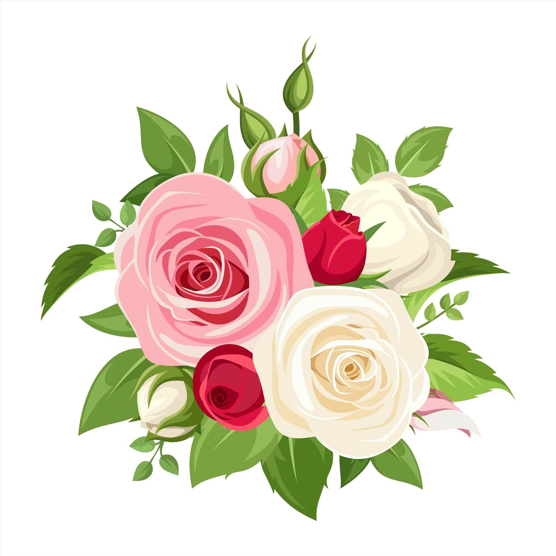 Rose Vector Png.