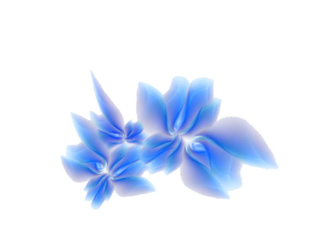 3D Flowers Png File.