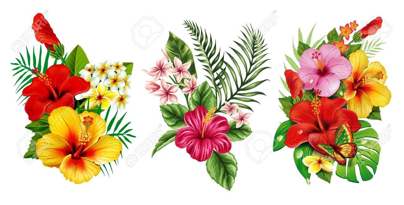 3 in 1, Best HD PNG VINTAGE FLOWER image in one pack.