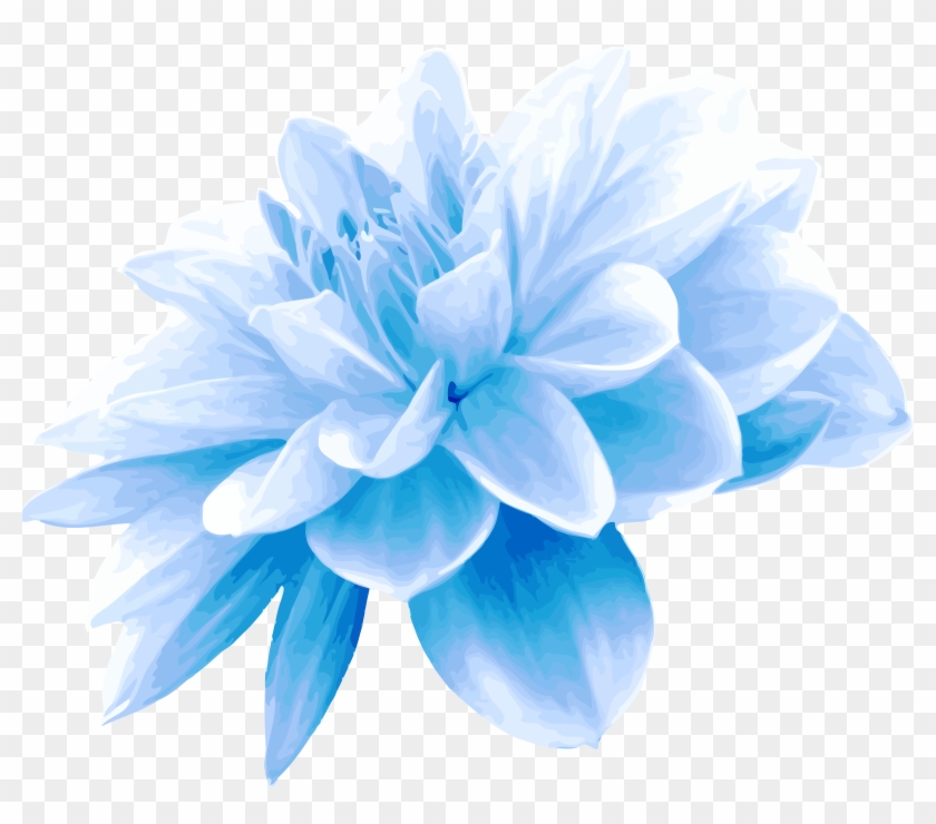 Aqua Blue Flower Png.