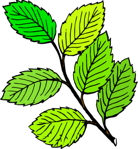 Foliage Clipart.