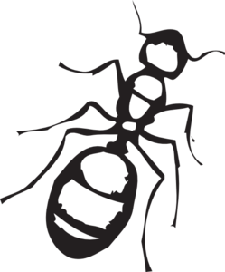 Sketch Of An Ant Clip Art at Clker.com.