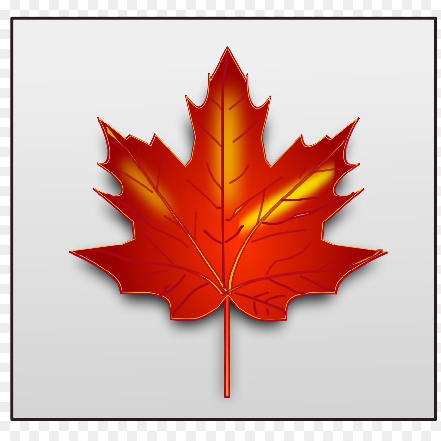 Leaf, Tree, transparent png image & clipart free download.