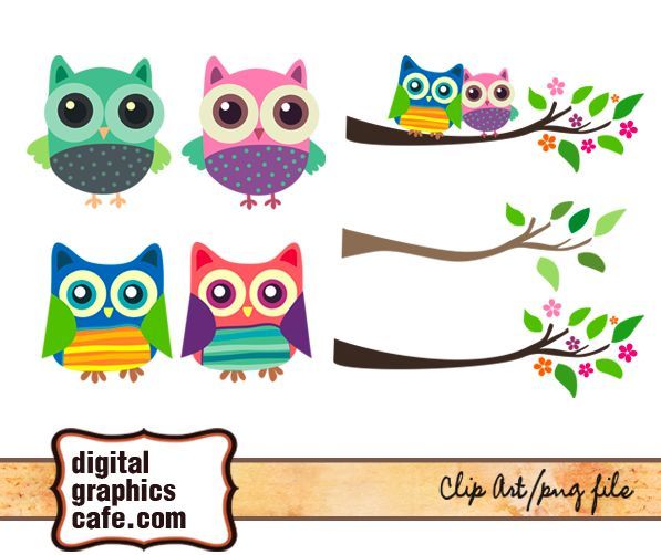 Free owl clipart 2 » Clipart Portal.