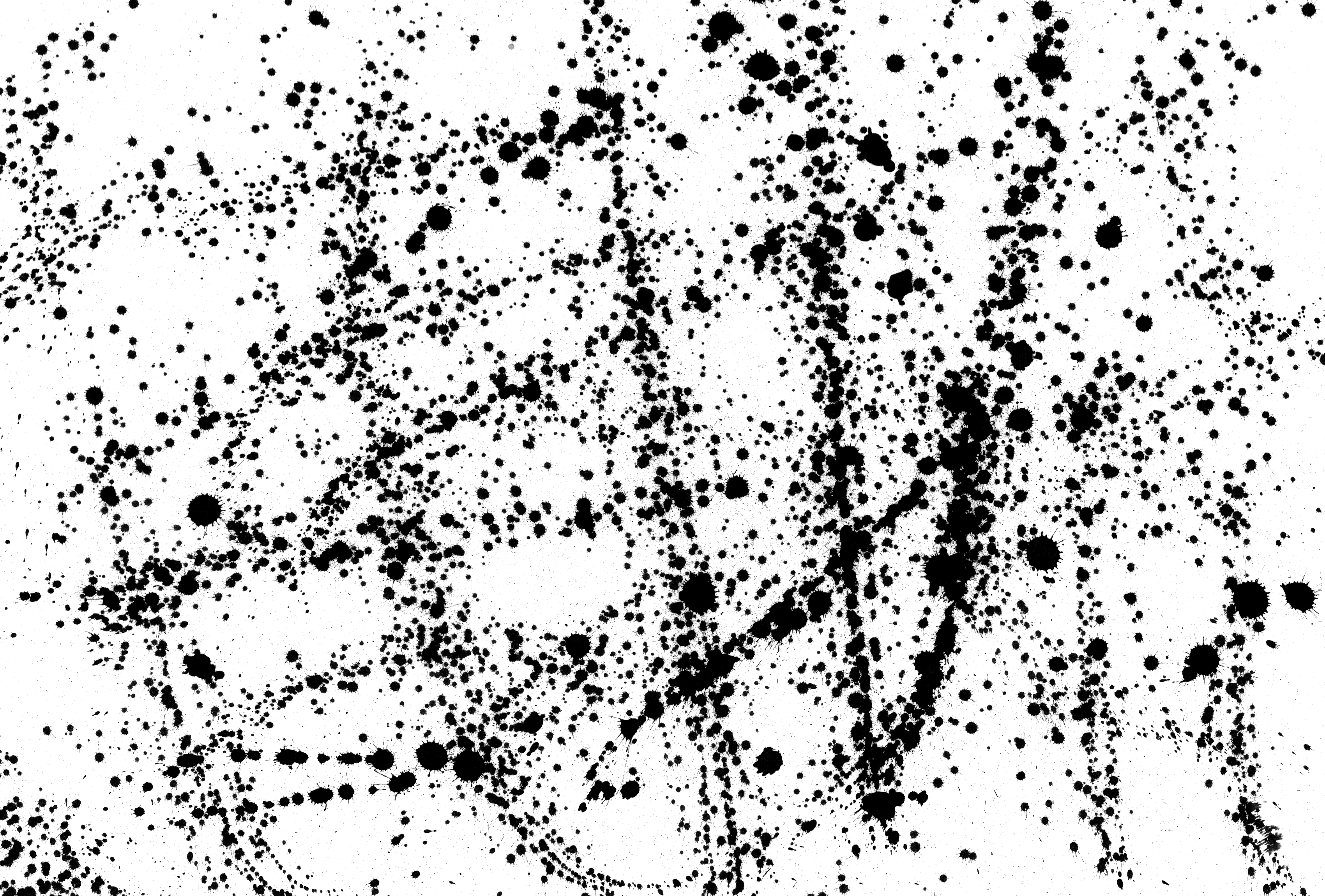 Ink Splatter Texture (PNG).