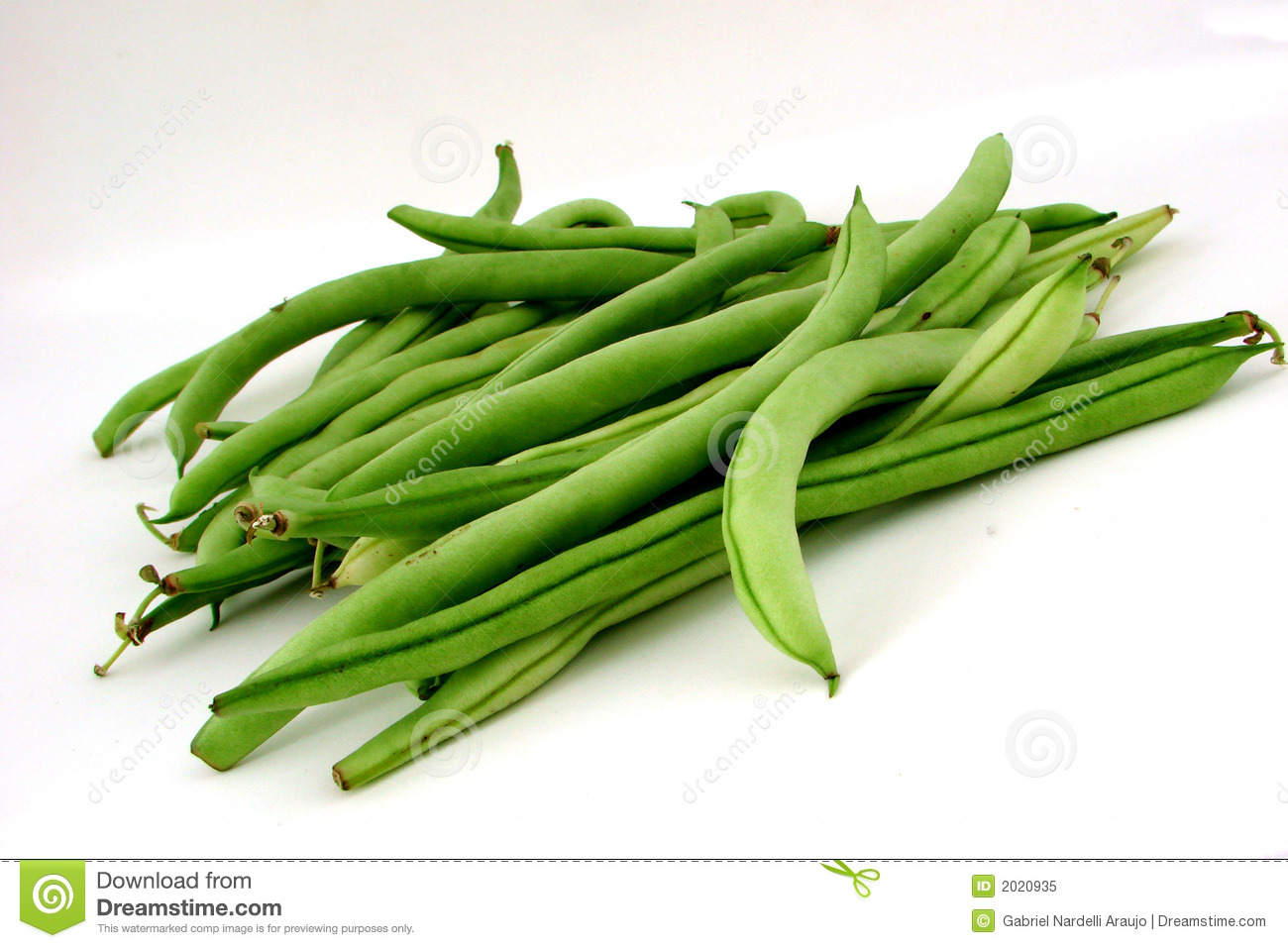 Canned Green Beans Clipart.