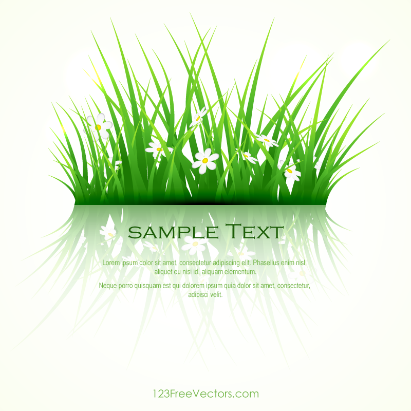 Green Grass Background Clipart.