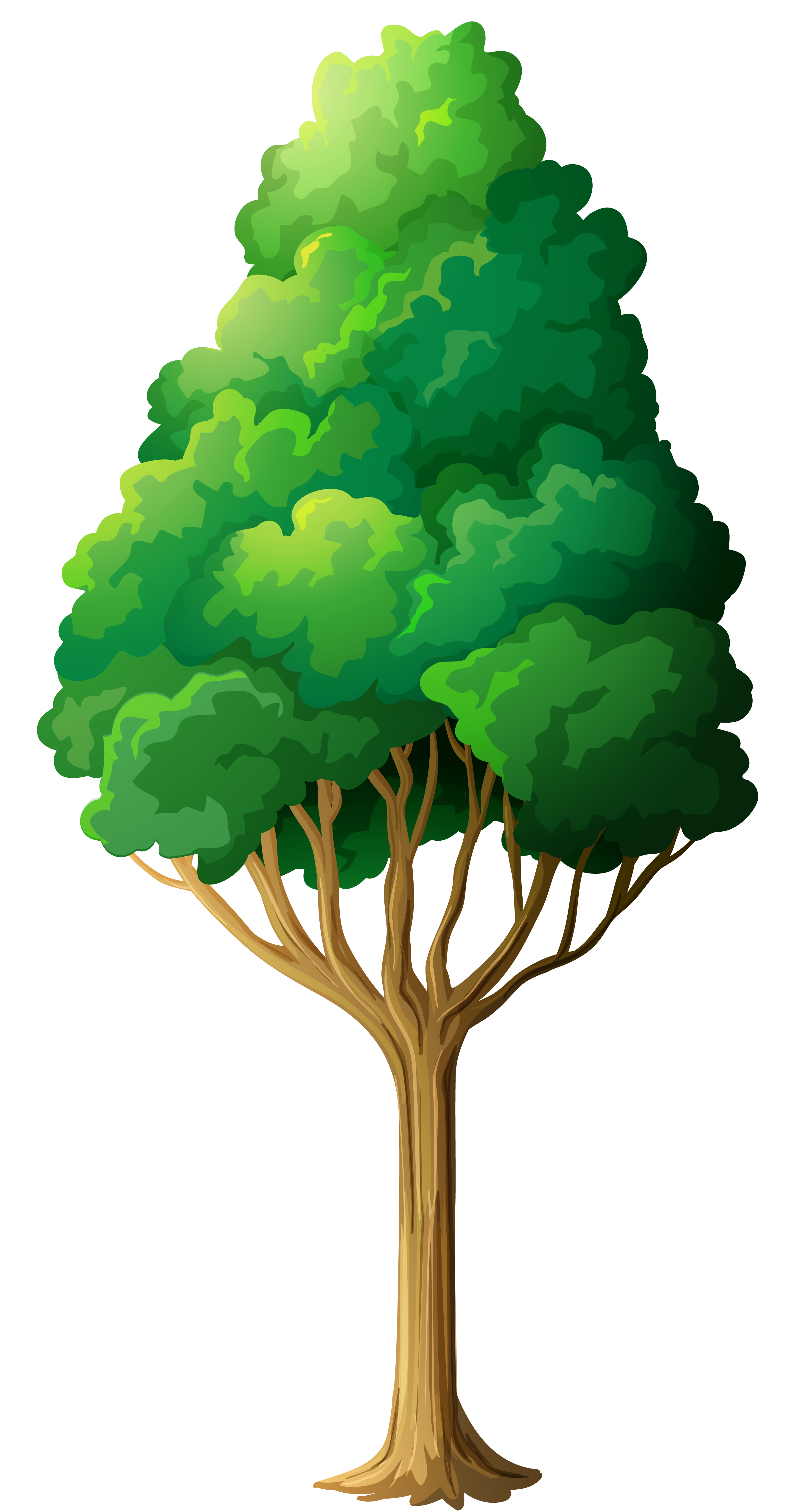 Green Tree PNG Clipart.