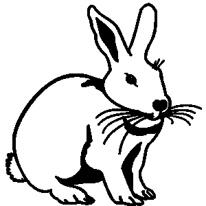 Hare Clip Art Free.