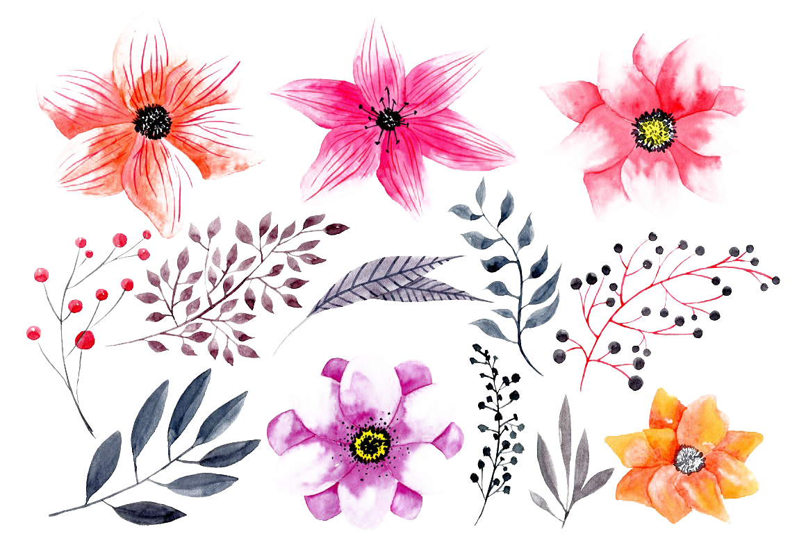 Watercolor Flowers PNG HD Photo.