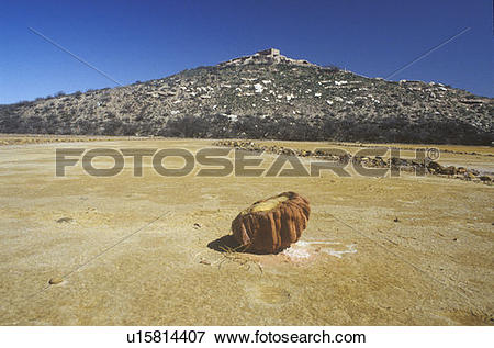 Picture of Old growth at Indian ruins in AZ's high desert.