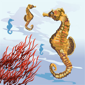 CLIPART HIPPOCAMPUS.