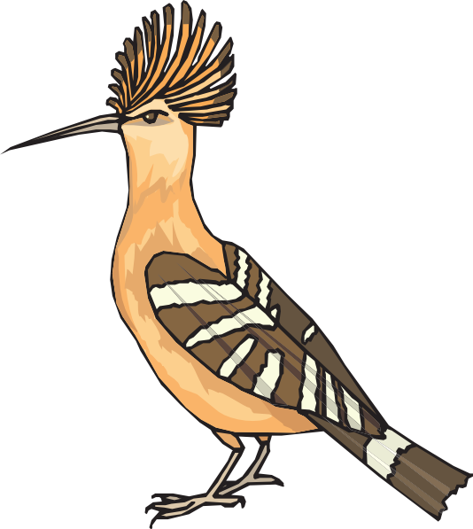 Angry Hoopoe Clip Art at Clker.com.