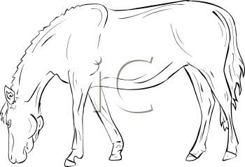 Grazing Horses Clipart.