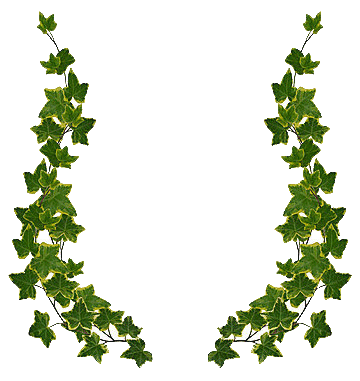 Ivy border clip art free.