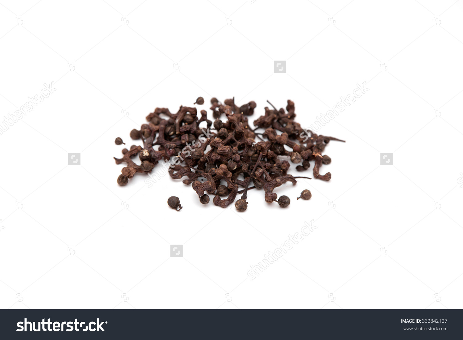 Fruit Of Oriental Raisin Tree. (Hovenia Dulcis Thunb) Stock Photo.