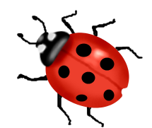 Ladybird Clipart.