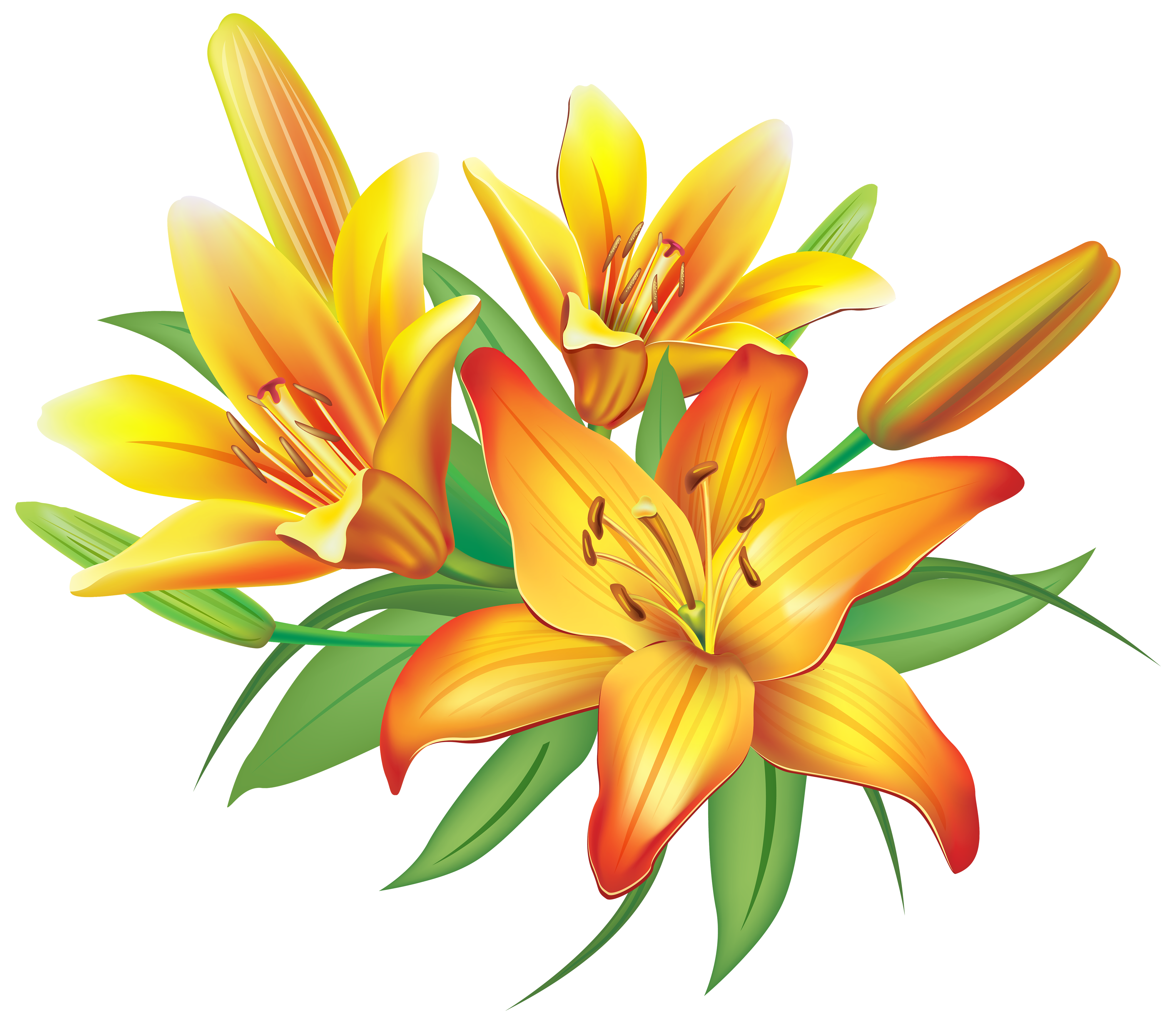 Yellow Lilies Flowers Decoration PNG Clipart Image.