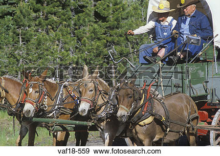 Stock Photograph of Living History participants in wagon train.