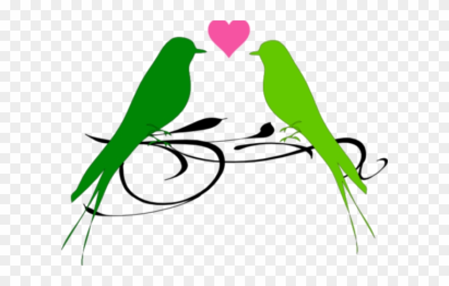 Love Birds Clipart Parrot.