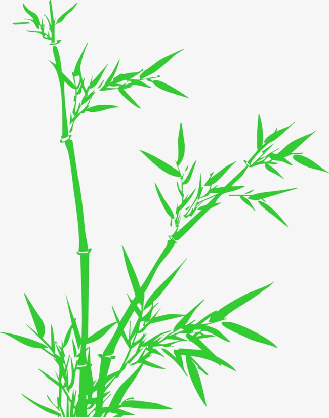 Bamboo clipart lucky bamboo, Bamboo lucky bamboo Transparent.