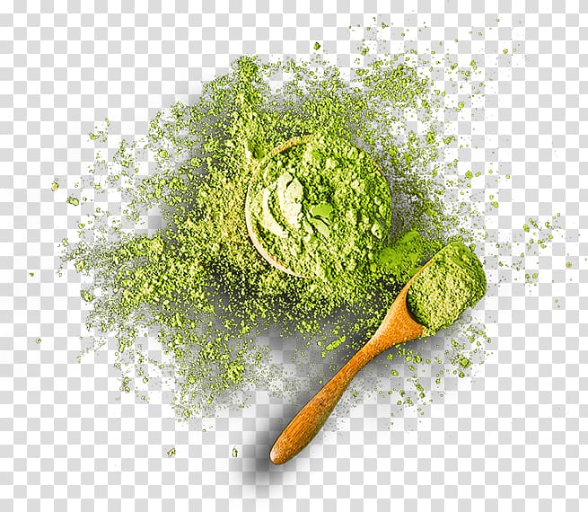 Matcha Green tea ice cream, green tea transparent background.