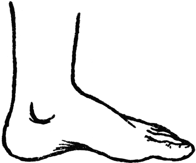 Cartoon Foot Clipart.