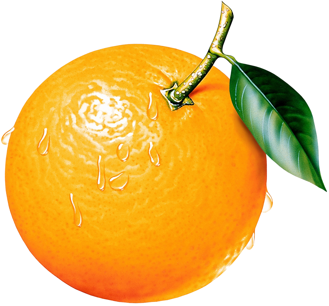 Orange Clipart Picture.