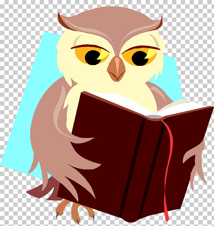 Baby Owls Book Reading, owl PNG clipart.