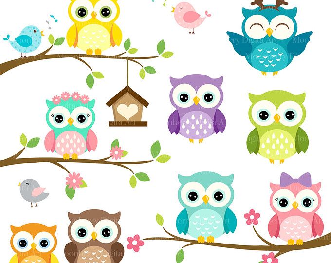 Owls Clipart \'CUTE OWL CLIPART\' Digital Owls Clipart..